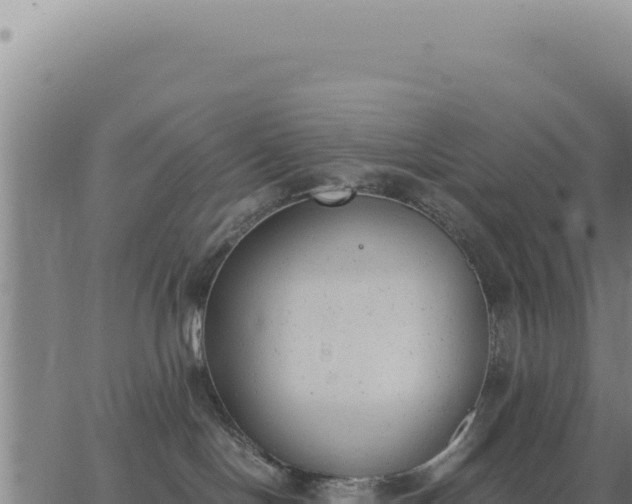 X0000062870094200601201805