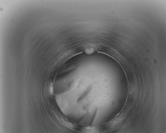 X0000062870095200601201805