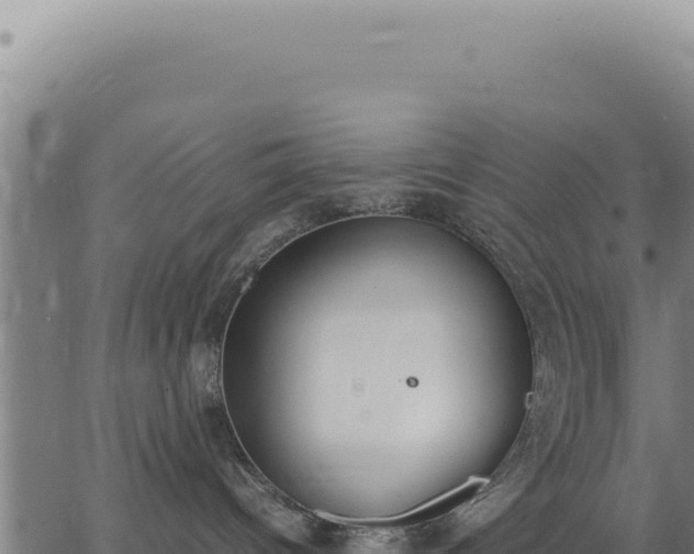 X0000062870096200601201805