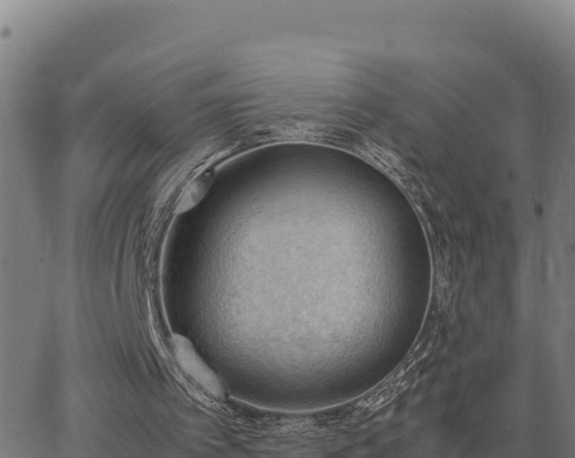 X0000062870097200601201804