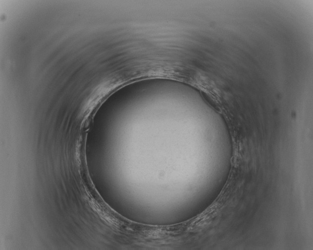 X0000062870098200601201804