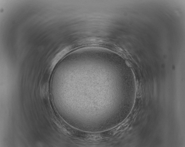 X0000062870099200601201804