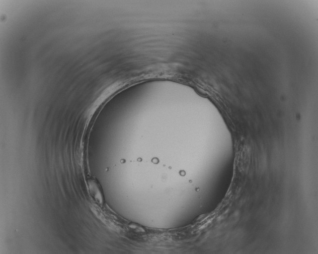 X0000062870100200601201804