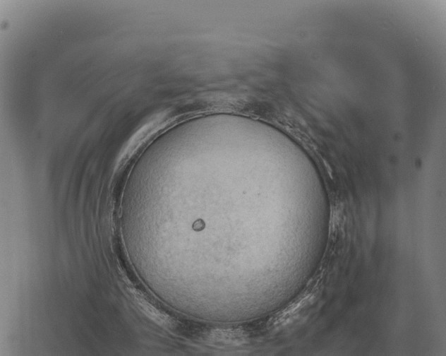 X0000062870101200601201804