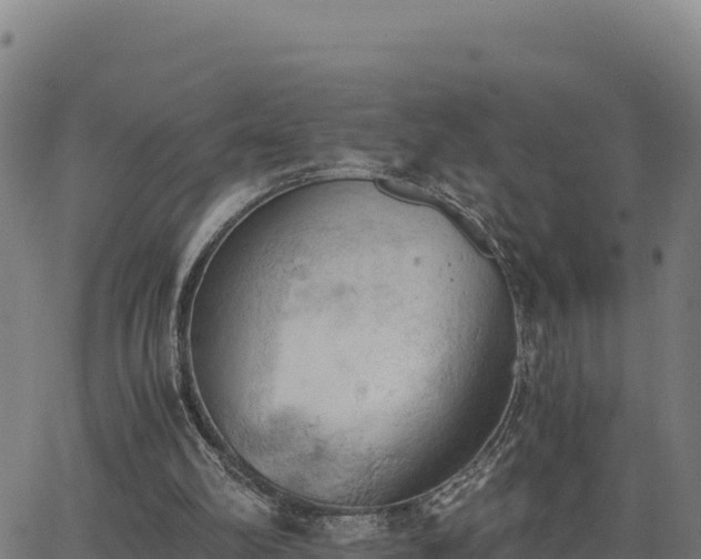 X0000062870102200601201804