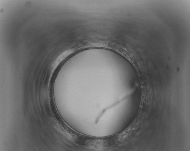 X0000062870104200601201804