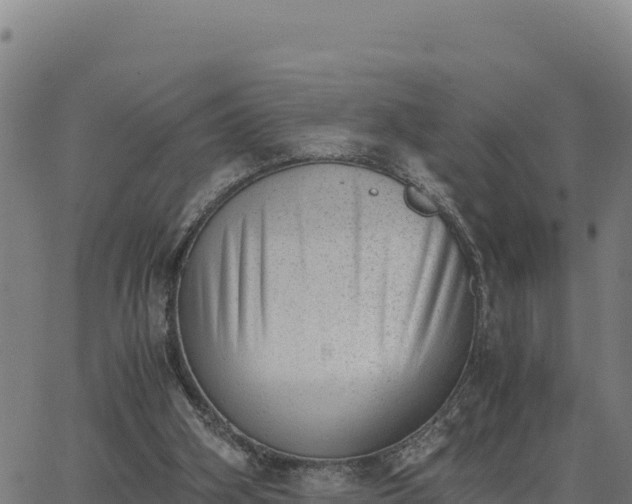 X0000062870106200601201804