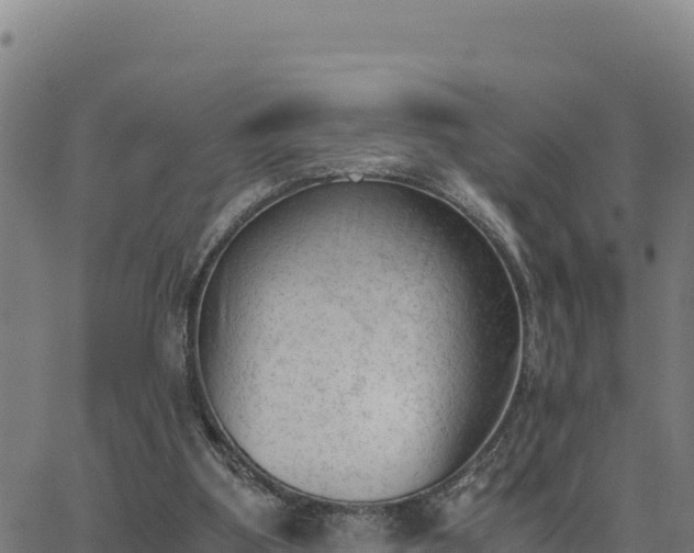 X0000062870107200601201804