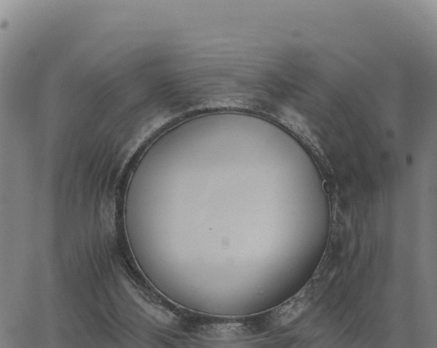 X0000062870108200601201804