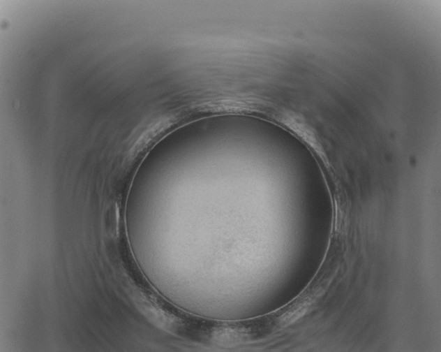 X0000062870109200601201804