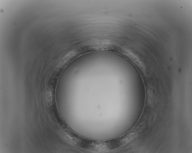 X0000062870113200601201804