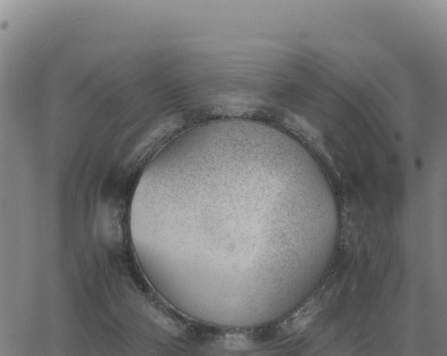 X0000062870114200601201804