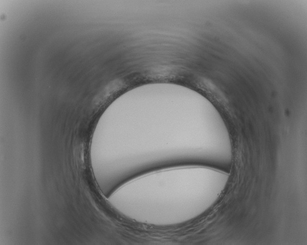 X0000062870115200601201804