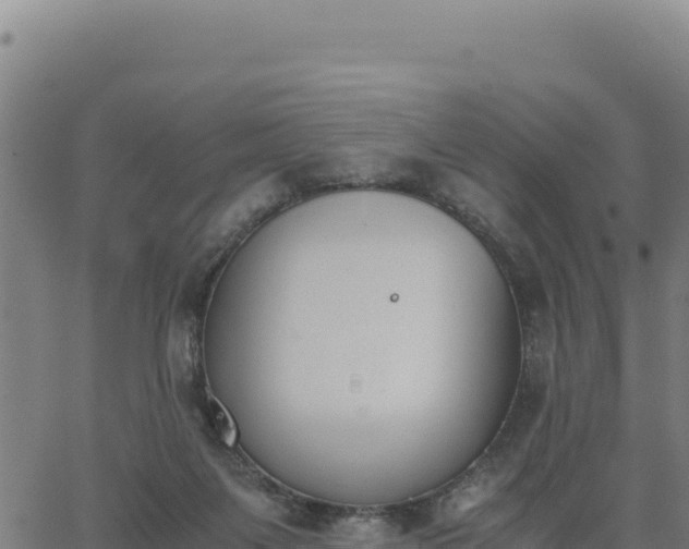 X0000062870119200601201804