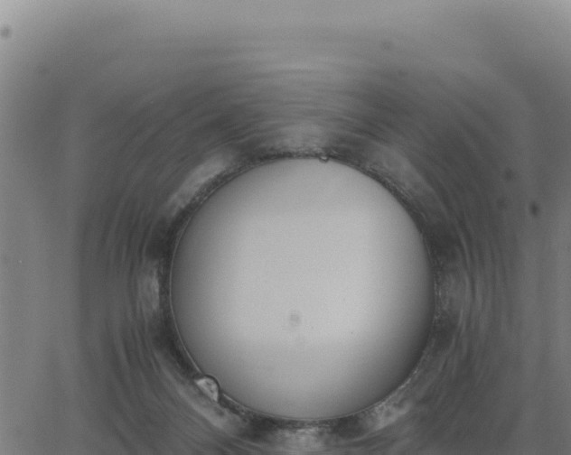 X0000062870120200601201804