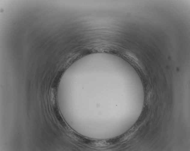 X0000062870121200601201804