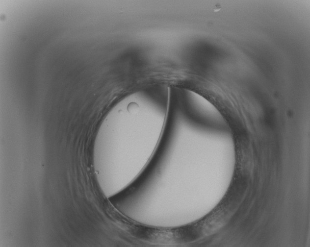 X0000062870123200601201804