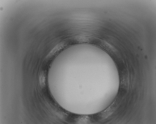 X0000062870124200601201804