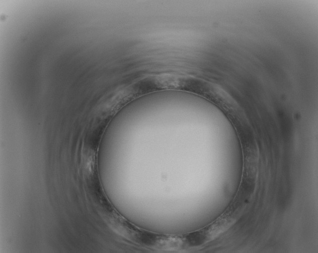 X0000062870125200601201804