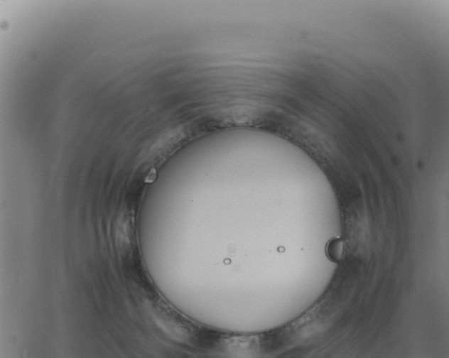 X0000062870126200601201804