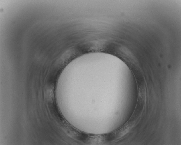 X0000062870127200601201804