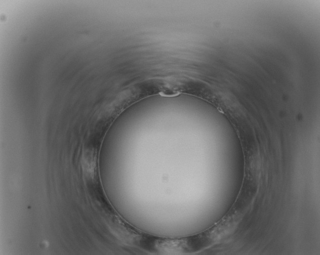 X0000062870129200601201804