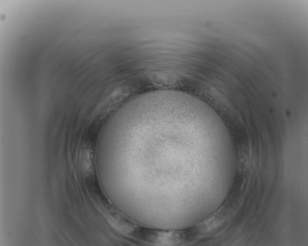 X0000062870130200601201804