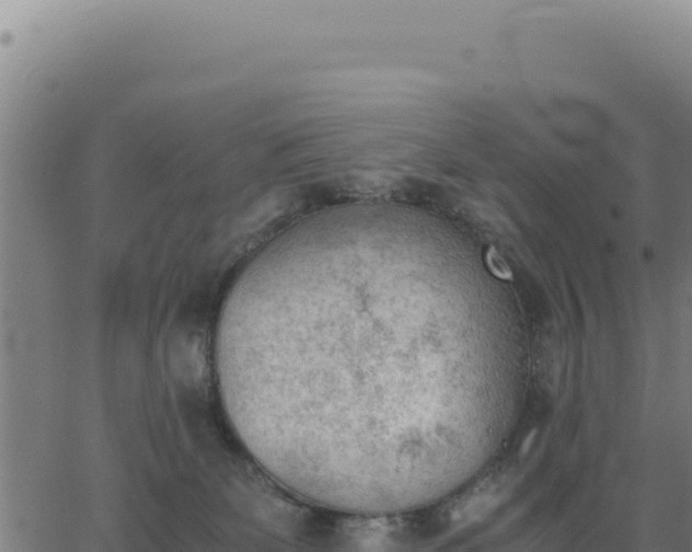 X0000062870131200601201804