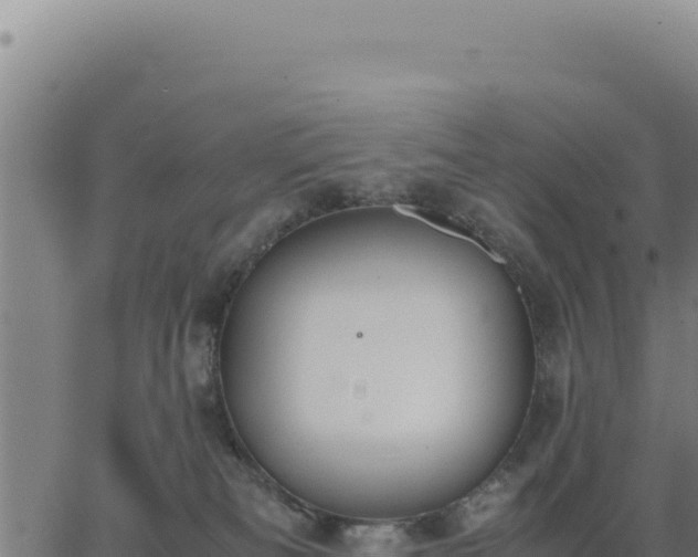 X0000062870133200601201804