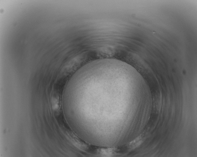 X0000062870134200601201804