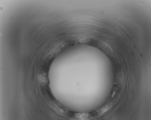 X0000062870135200601201804