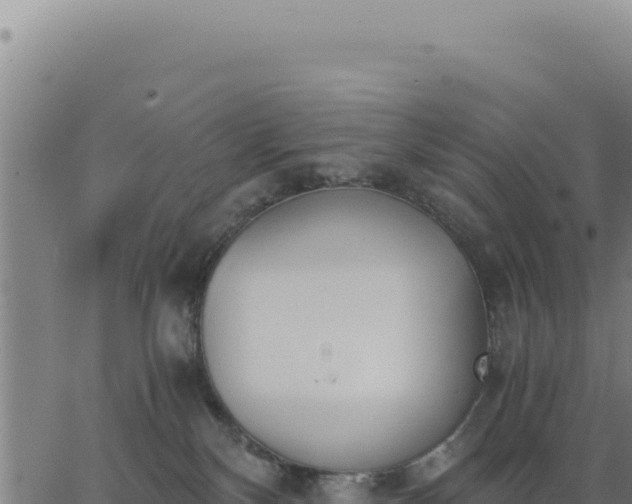 X0000062870136200601201804