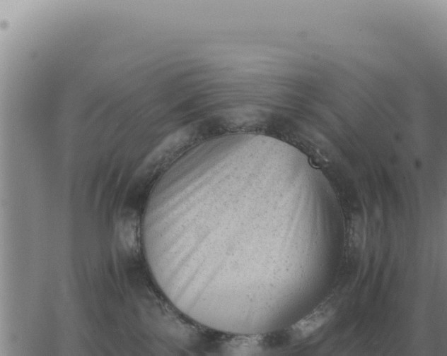 X0000062870138200601201804