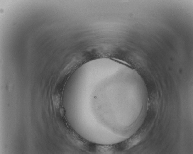 X0000062870139200601201804