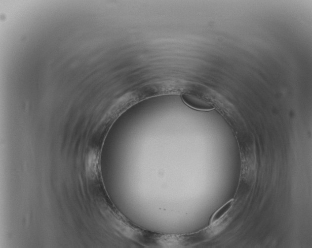 X0000062870142200601201804