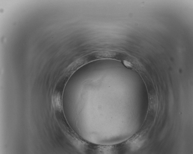 X0000062870143200601201804