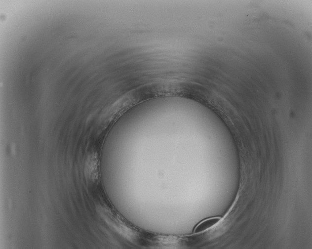 X0000062870144200601201804