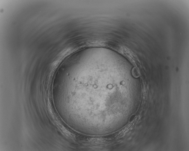 X0000062870145200601201803