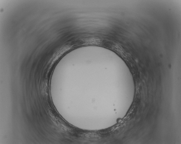 X0000062870146200601201803