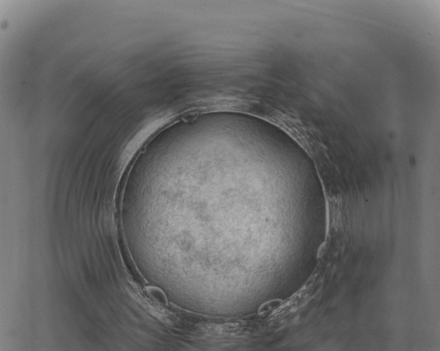 X0000062870147200601201803