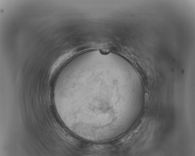 X0000062870149200601201803