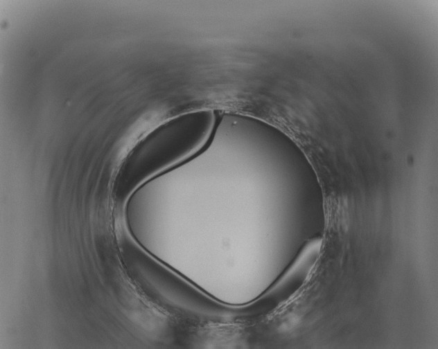 X0000062870150200601201803