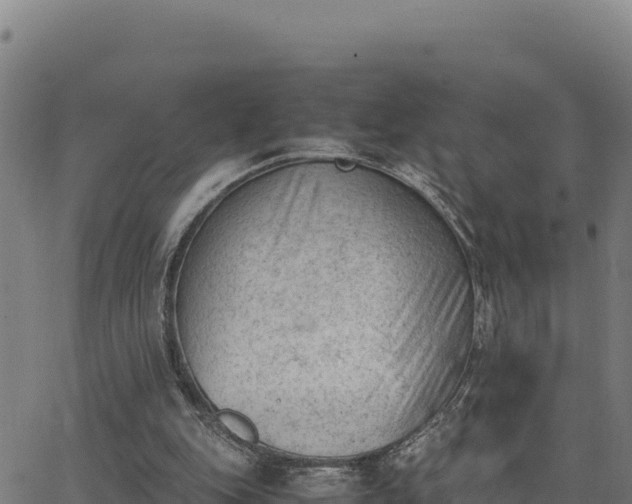 X0000062870151200601201803