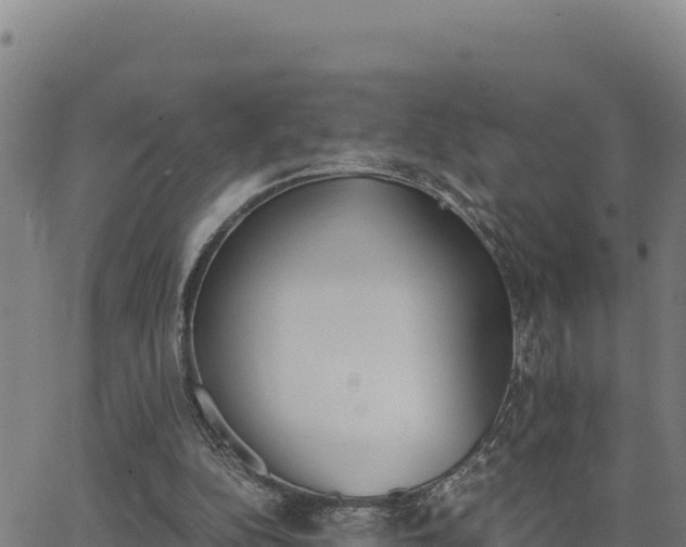 X0000062870152200601201803