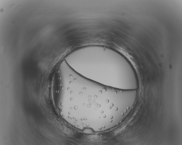 X0000062870153200601201803