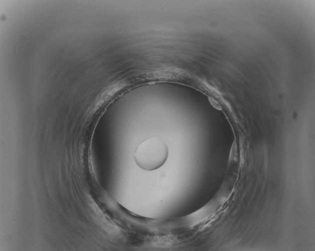 X0000062870154200601201803