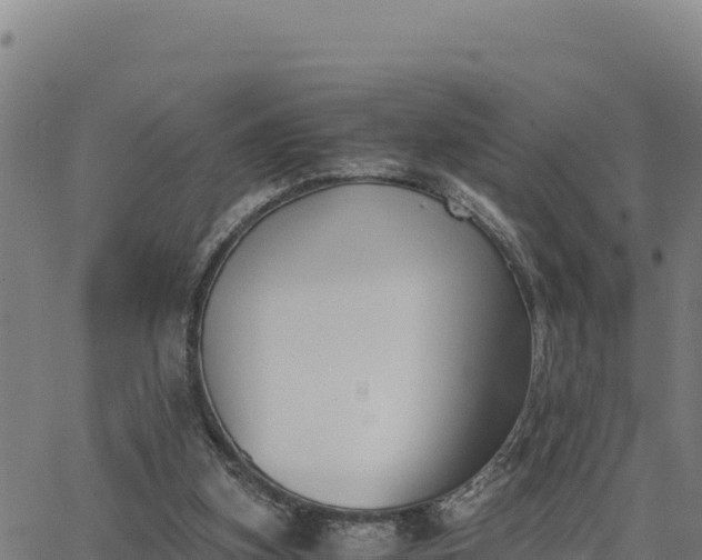 X0000062870155200601201803