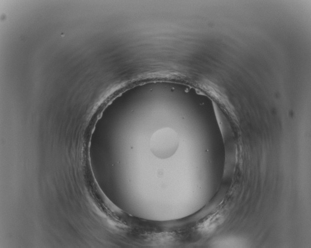 X0000062870156200601201803