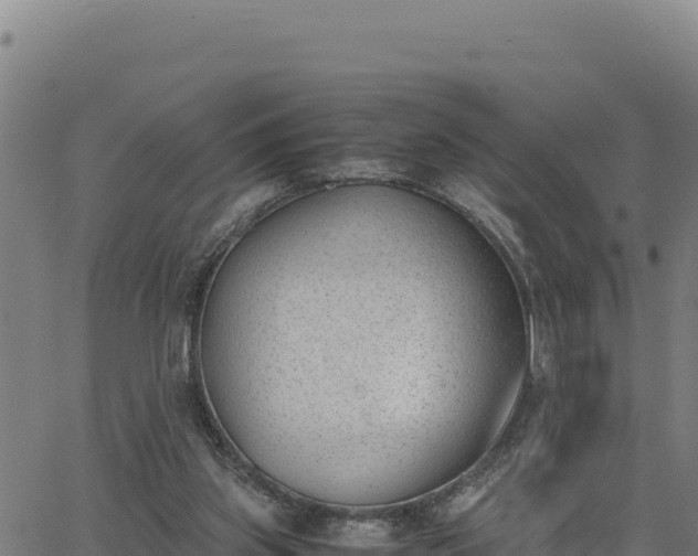 X0000062870157200601201803