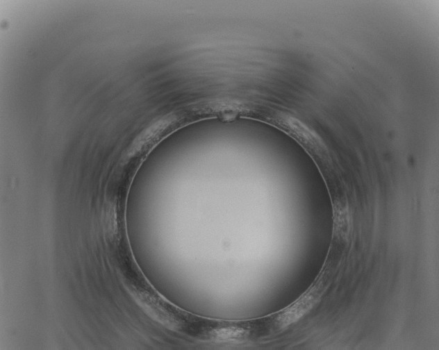 X0000062870158200601201803